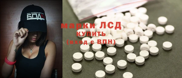 индика Липки