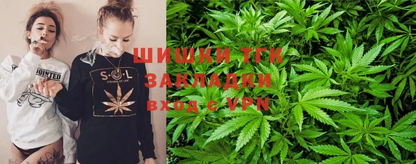 спайс Ладушкин