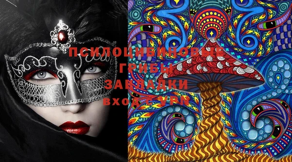 PSILOCYBIN Алапаевск