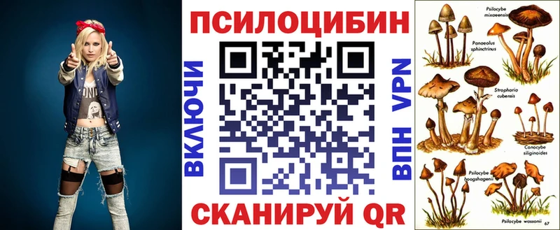 Галлюциногенные грибы Psilocybe Нижний Тагил